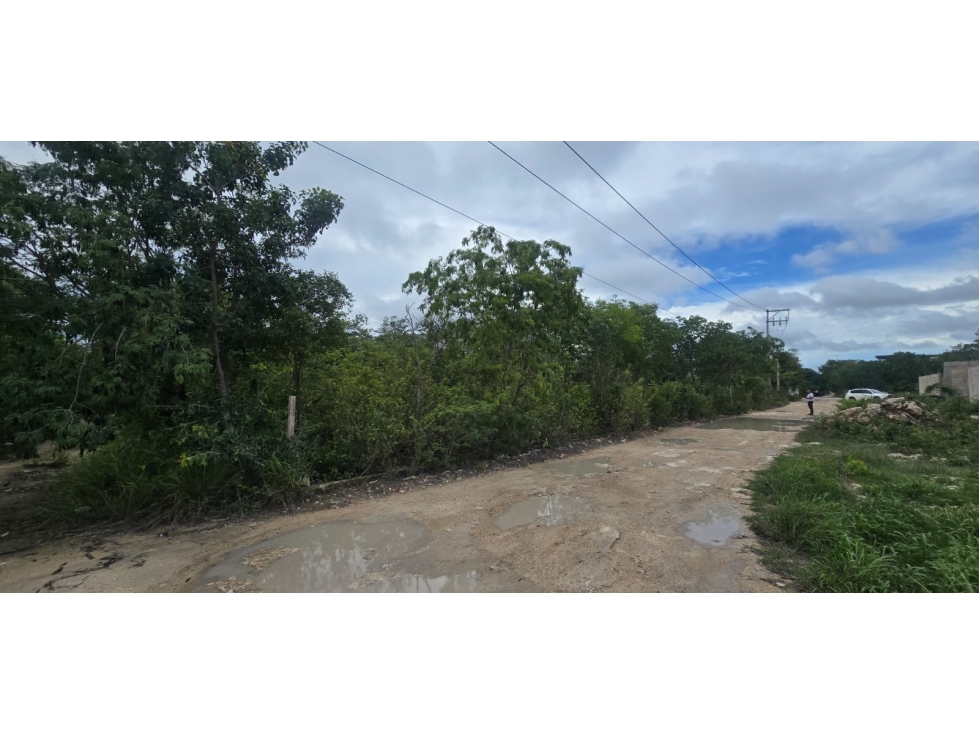 OPORTUNIDAD 4 TERRENOS EN REMATE EN TULUM REGION 15 frente a DK Tulum - 2