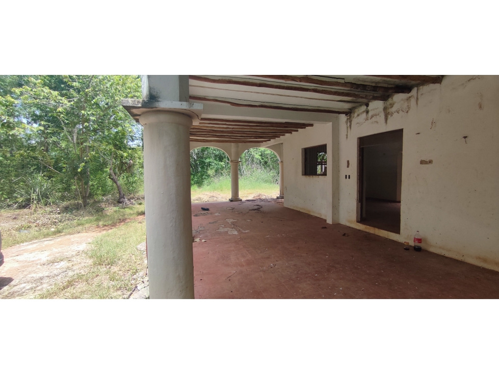 RANCHO 100 HECTAREAS CON CENOTE EN CHICHEN ITZA - 6