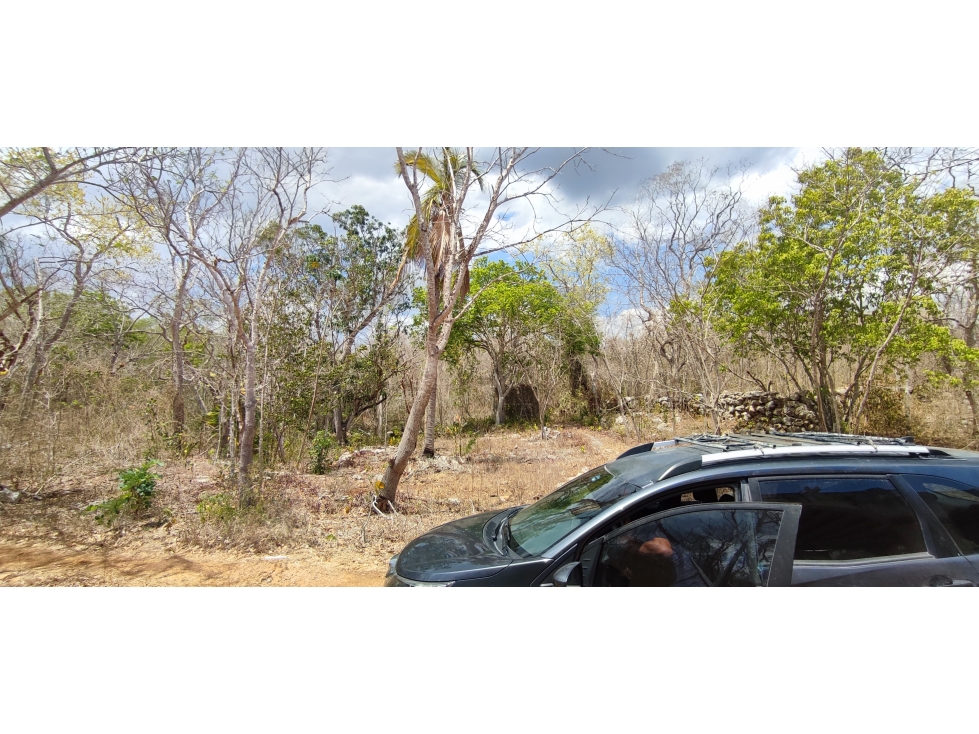 RANCHO 100 HECTAREAS CON CENOTE EN CHICHEN ITZA - 3