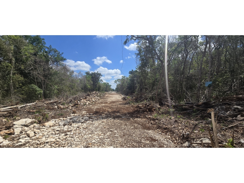 170 HECTAREAS TITULADAS EN PUERTO MORELOS - 3