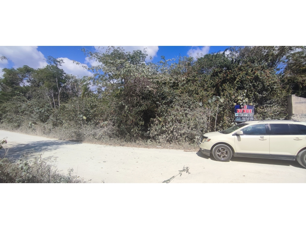 6.3 HECTAREAS EN AKUMAL PUEBLO TULUM - 3