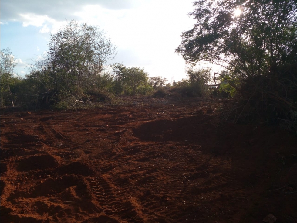 TERRENO EN VENTA EN XMATCUIL COL PLAN DE AYALA MERIDA YUCATAN - 3