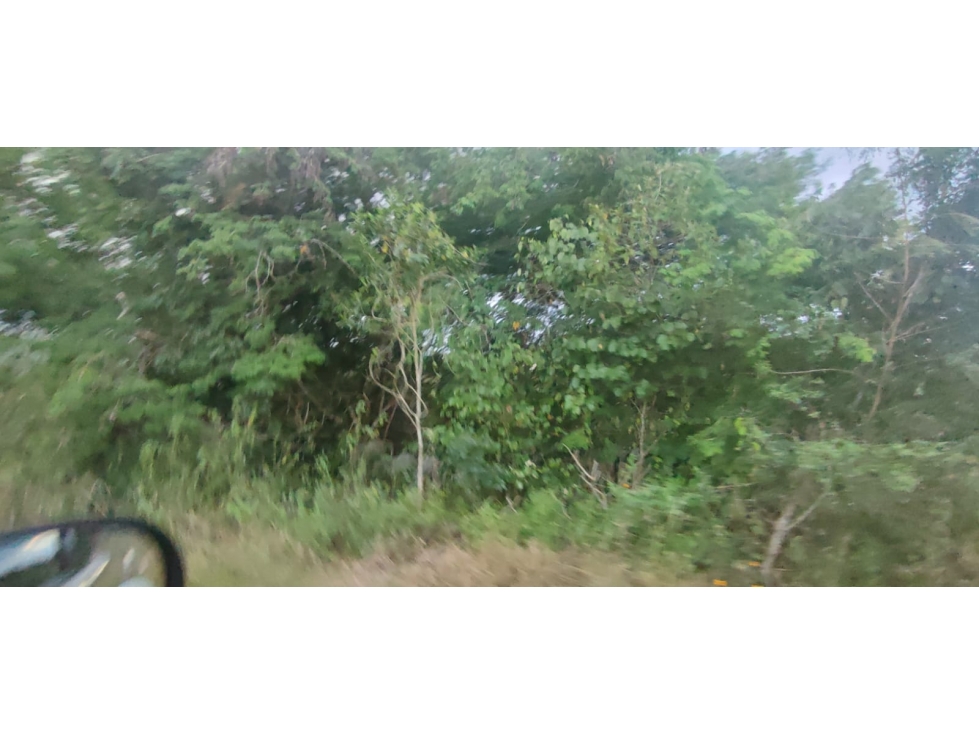 Excellent Investment Opportunity in the Town of Panabá, Yucatán - 3