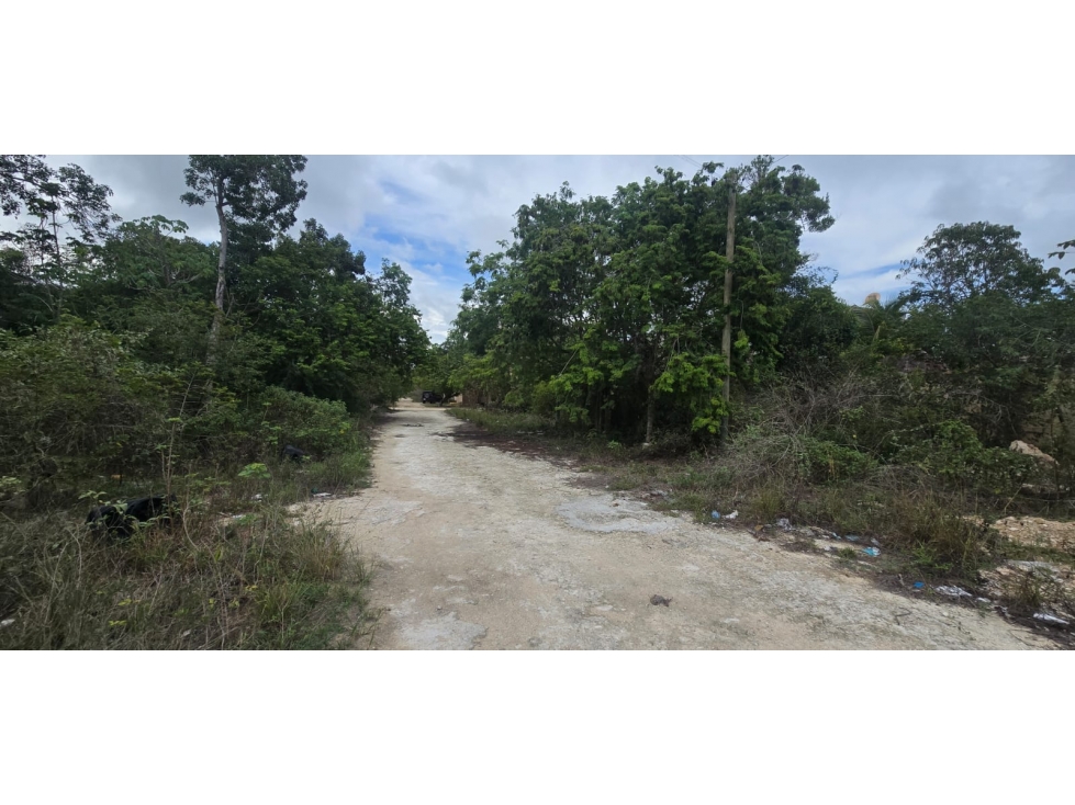 OPORTUNIDAD TERRENO EN REMATE EN TULUM COLONIA YAX TULUM - 3