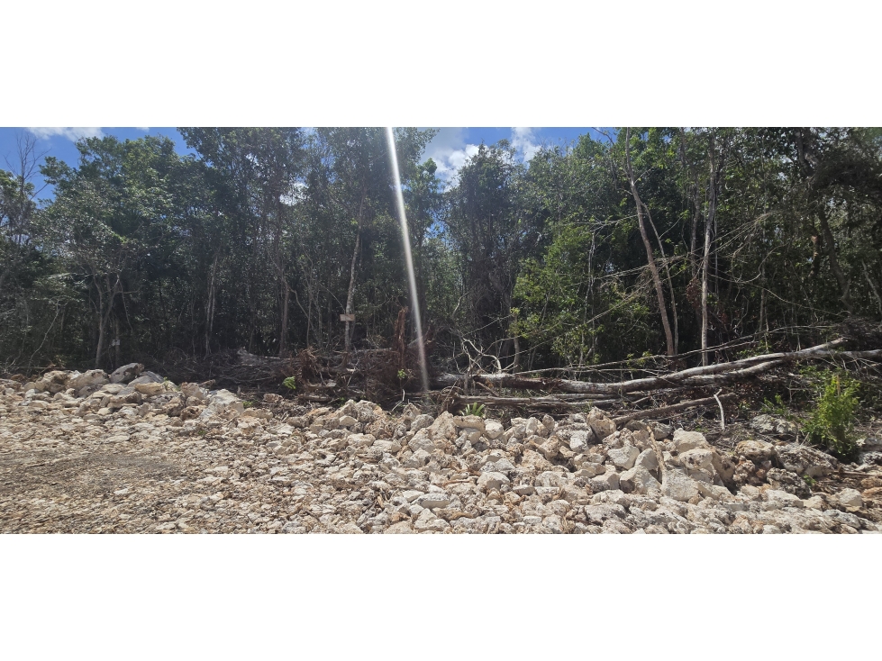 170 HECTAREAS TITULADAS EN PUERTO MORELOS - 4