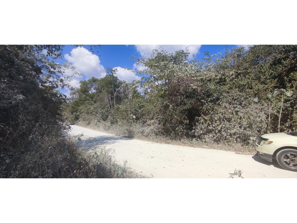 6.3 HECTAREAS EN AKUMAL PUEBLO TULUM - 4