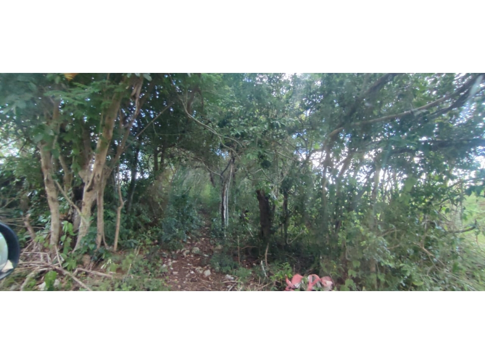 RANCHO EN VENTA EN IZAMAL YUCATAN - 4