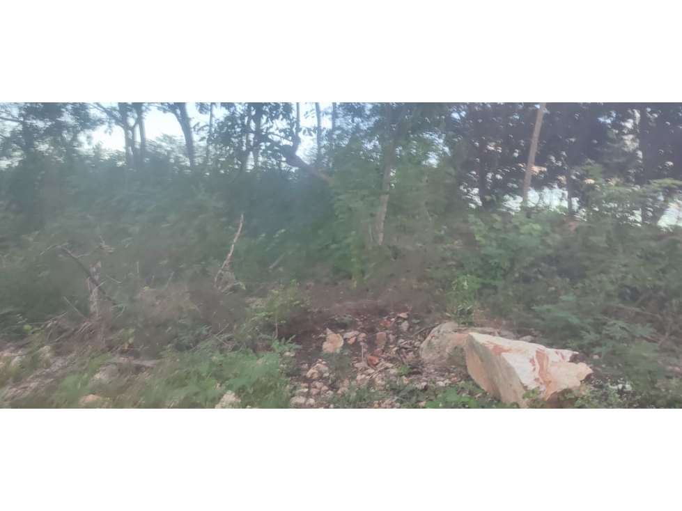 Excellent Investment Opportunity in the Town of Panabá, Yucatán - 4