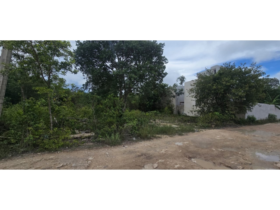 OPORTUNIDAD 4 TERRENOS EN REMATE EN TULUM REGION 15 frente a DK Tulum - 4