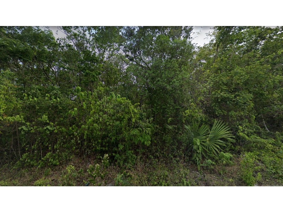 1 hectarea en la Veleta Tulum - 5