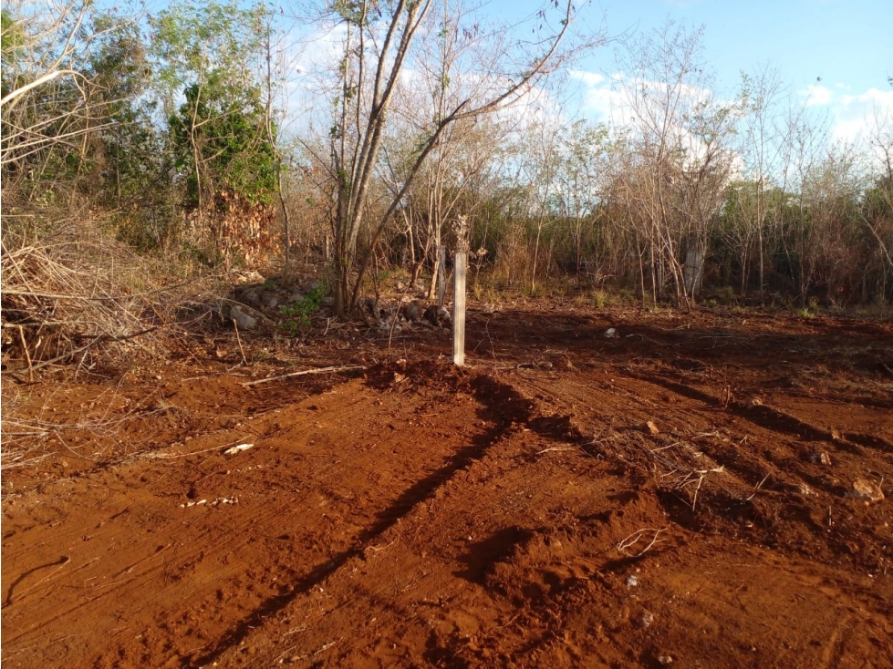 TERRENO EN VENTA EN XMATCUIL COL PLAN DE AYALA MERIDA YUCATAN - 5