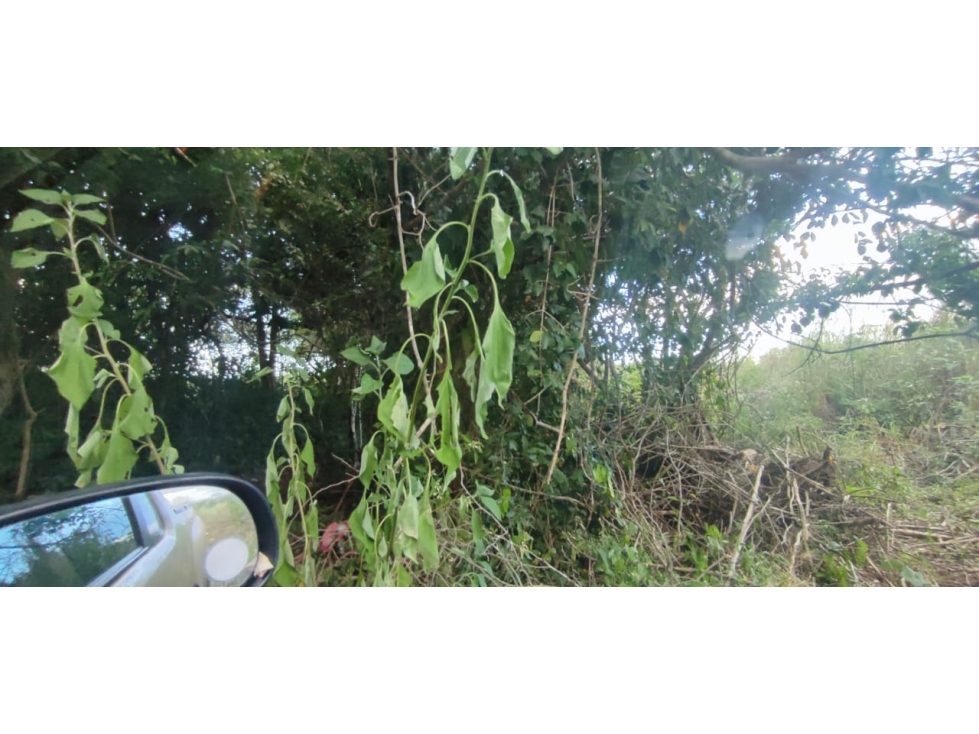 Excellent Investment Opportunity in the Town of Panabá, Yucatán - 5