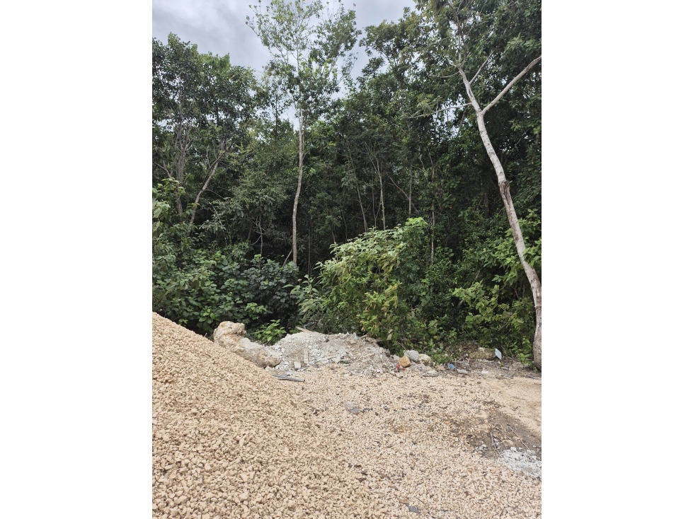 OPORTUNIDAD DE INVERSION TERRENO EN TULUM - 5