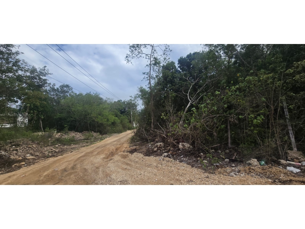 OPORTUNIDAD TERRENO EN REMATE EN TULUM REGION 15 MISTIQ GARDENS - 5