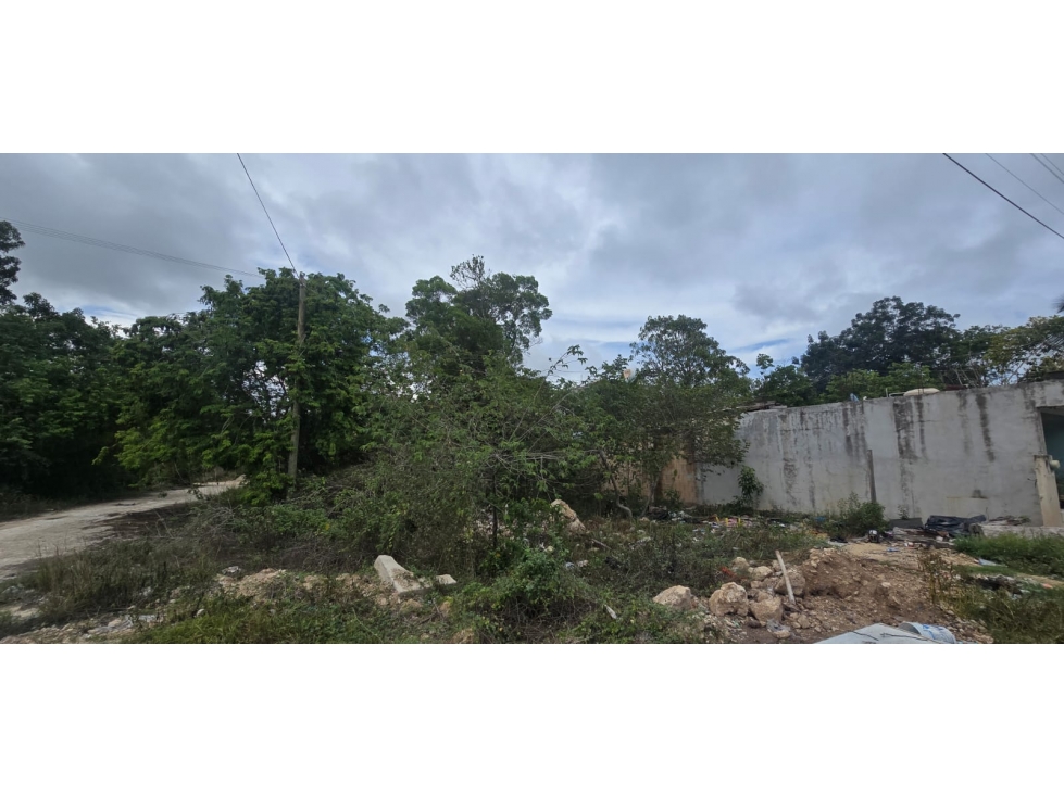 OPORTUNIDAD TERRENO EN REMATE EN TULUM COLONIA YAX TULUM - 5