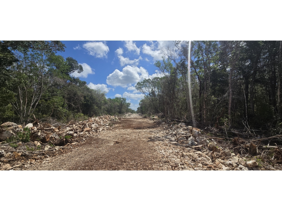 170 HECTAREAS TITULADAS EN PUERTO MORELOS - 6