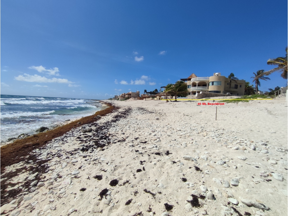 2000 M2 DE TERRENO Y VILLA DE LUJO FRENTE AL MAR EN TULUM — foto 6