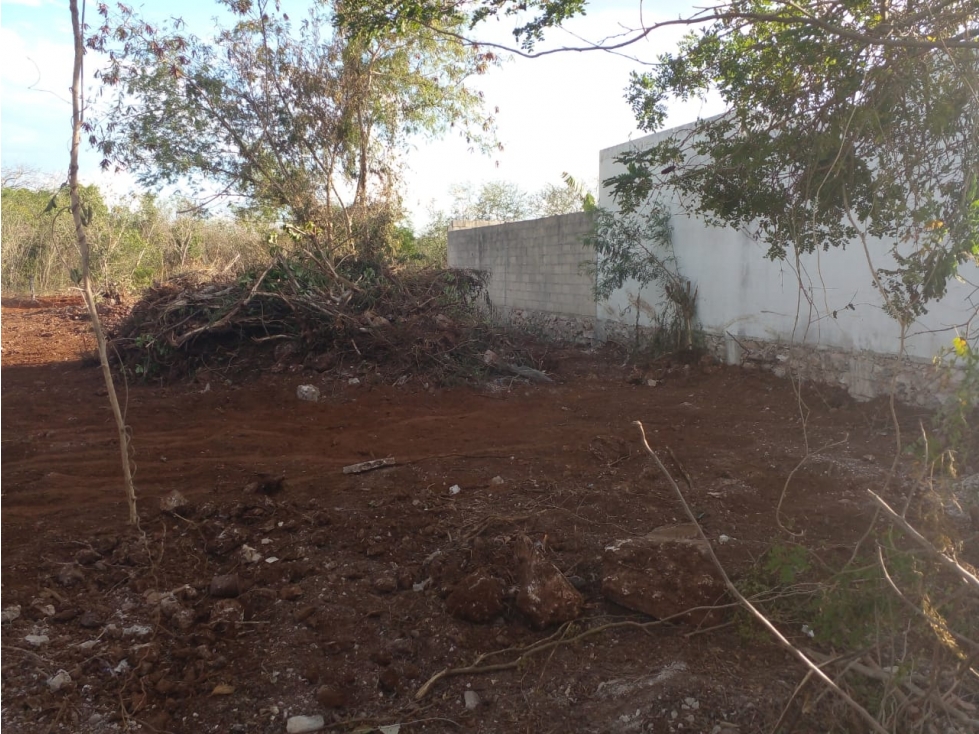 TERRENO EN VENTA EN XMATCUIL COL PLAN DE AYALA MERIDA YUCATAN - 6