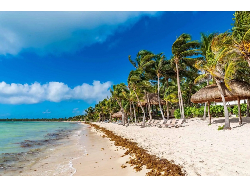 CHARMING 9-BEDROOM OCEANFRONT VILLA IN SOLIMAN BAY, TULUM - 6