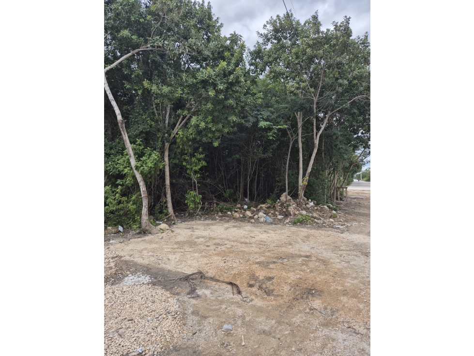 OPORTUNIDAD DE INVERSION TERRENO EN TULUM - 6