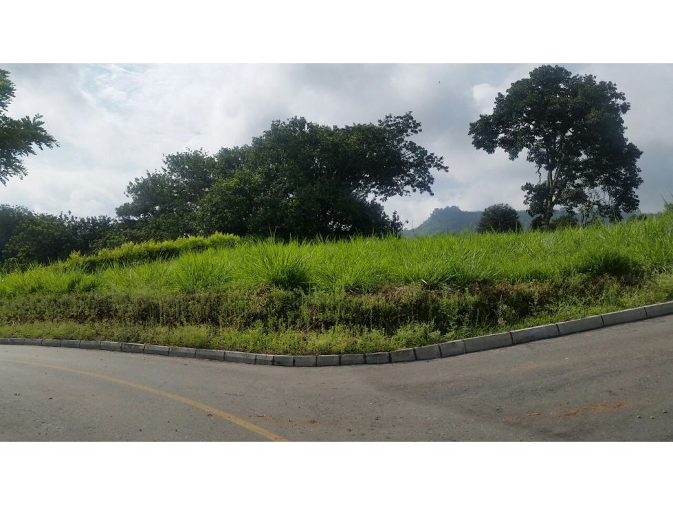 LOTE EN VENTA EN SANTÁGUEDA PALESTINA | LOTES EN VENTA - 1