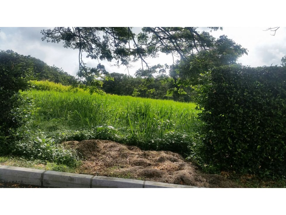 LOTE EN VENTA EN CONJUNTO CERRADO DE PALESTINA CALDAS | VENTA LOTE - 3