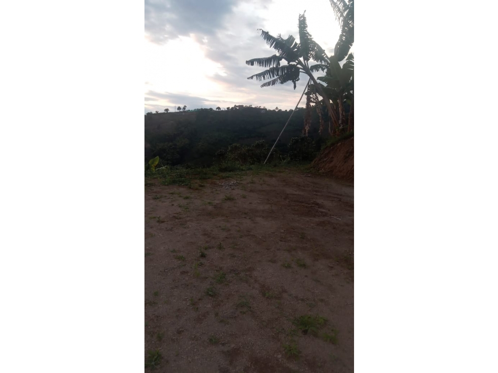 VENTA LOTE EN SAN PEREGRINO, MANIZALES | LOTES EN VENTA — foto 2