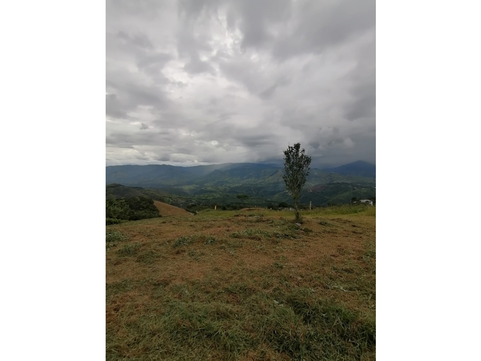 VENTA LOTE PALESTINA, CALDAS | LOTE EN VENTA EN PALESTINA - 1
