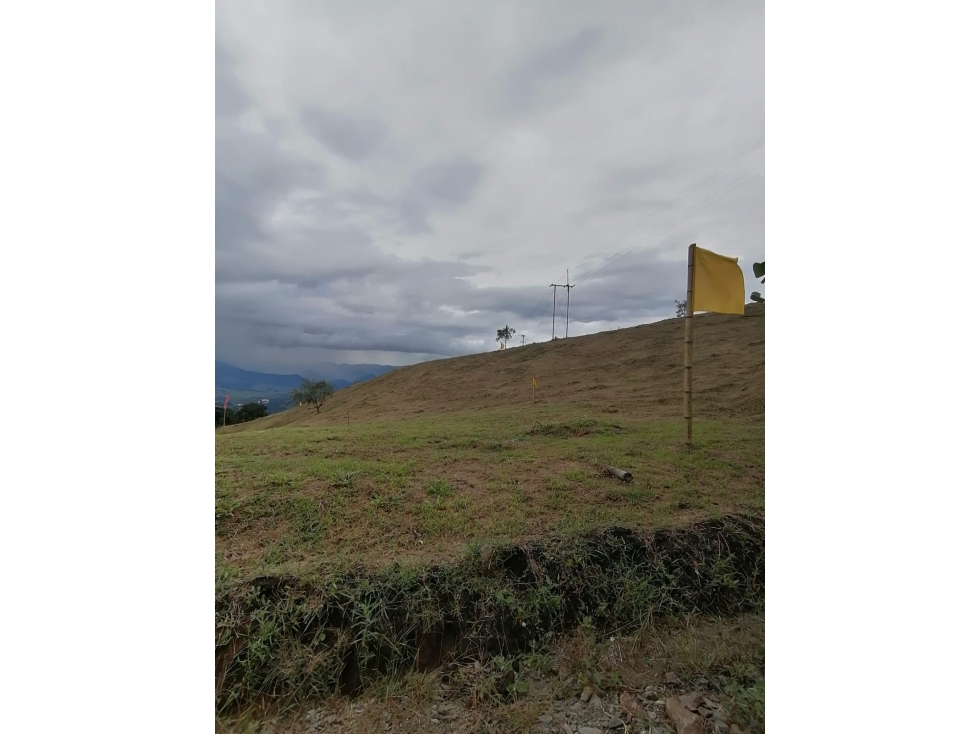VENTA LOTE PALESTINA, CALDAS | LOTES EN VENTA - 1