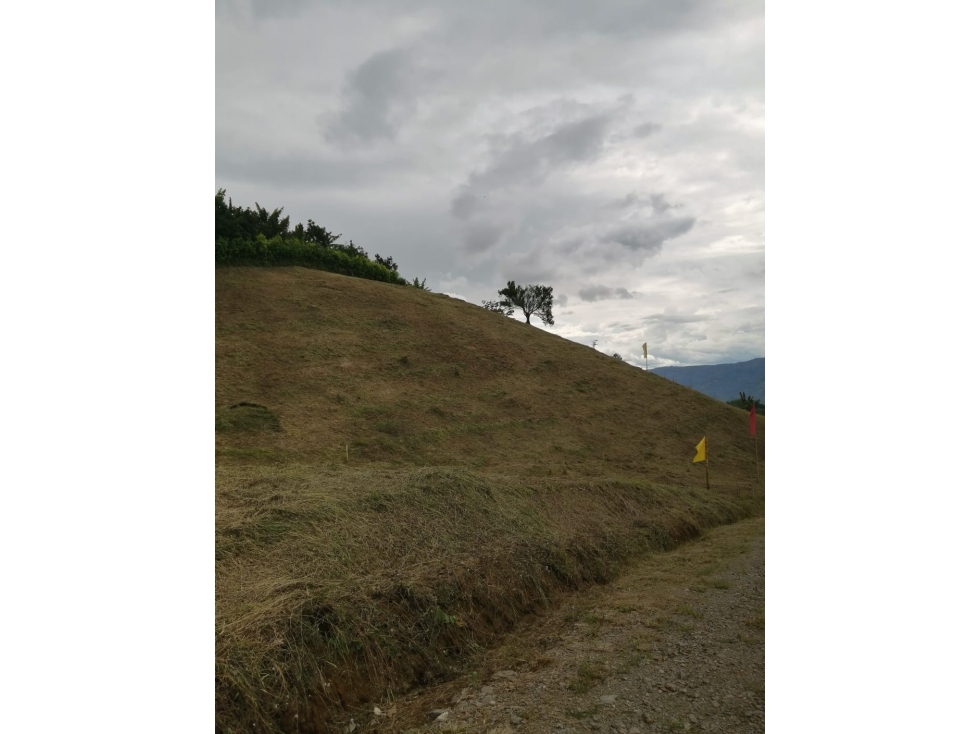 VENTA LOTE PALESTINA, CALDAS | LOTES EN VENTA - 1