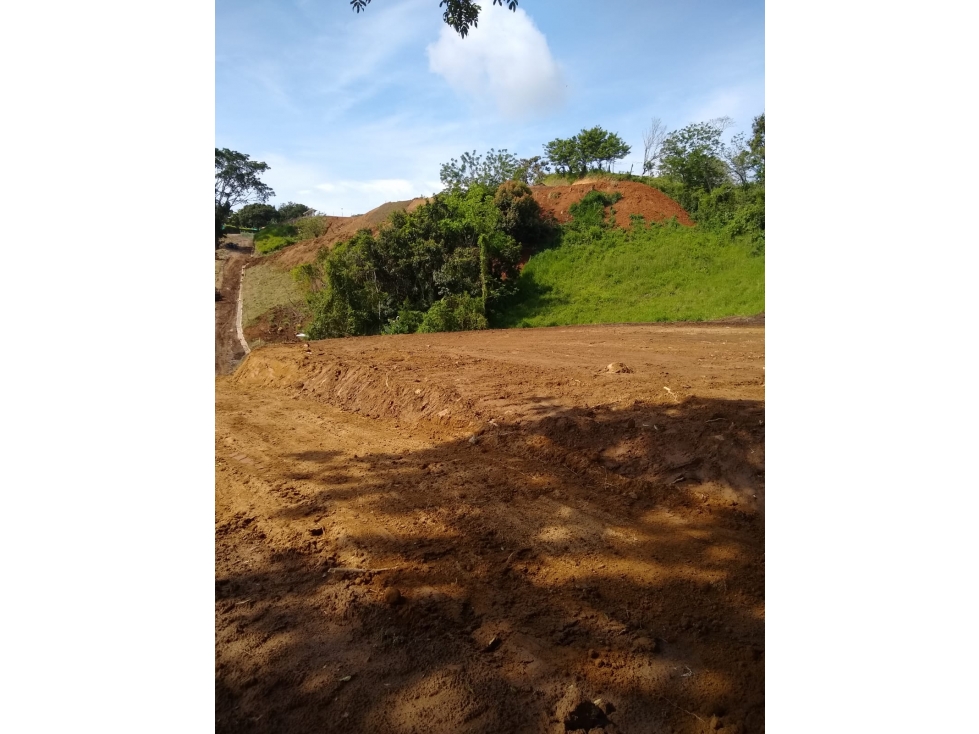 VENTA LOTE SANTAGUEDA, PALESTINA | LOTES EN VENTA - 2
