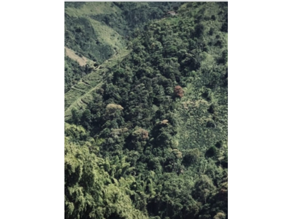 VENTA LOTE EN BAJO TABLAZO, MANIZALES