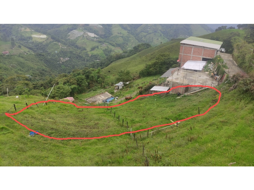VENTA DE LOTE EN VILLAMARIA, CALDAS - 2