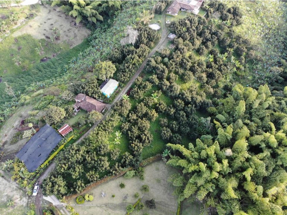 VENTA LOTE EN SANTÁGUEDA PALESTINA 2.500m² | LOTES BARATOS - 1