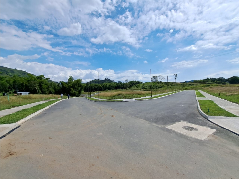 VENTA LOTE EL ROSARIO CHINCHINÁ | LOTES CAMPESTRES - 4
