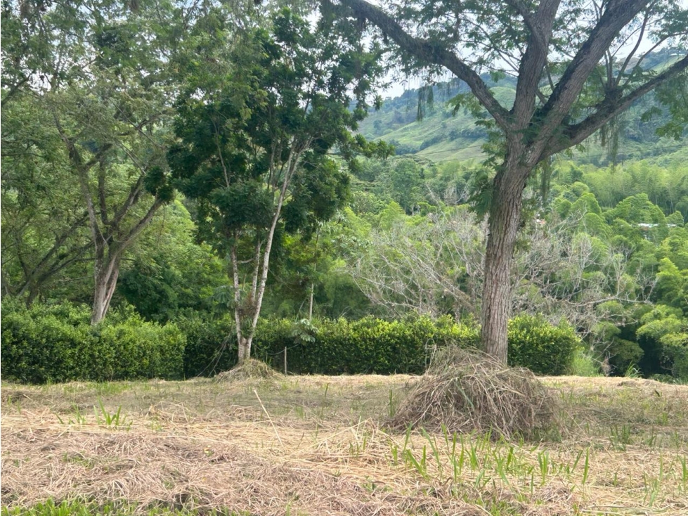 VENTA LOTE PARA CASA CAMPESTRE Km 41 PALESTINA | LOTE EN VENTA - 2