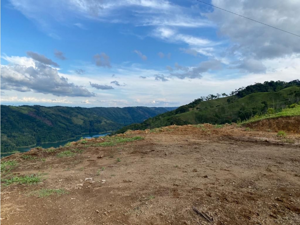 VENTA LOTE EN NORCASIA, CALDAS 10.000m² | LOTES EN VENTA EN NORCASIA - 2