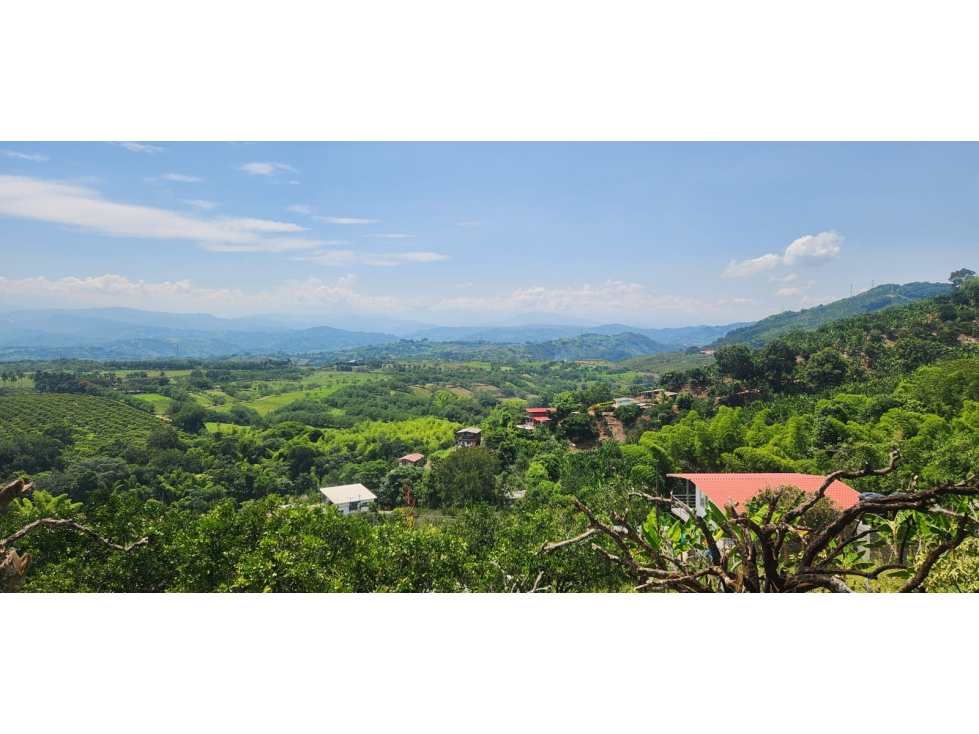 VENTA LOTE DE 1.500m² EN KILÓMETRO 41, MANIZALES | VENTA DE LOTES