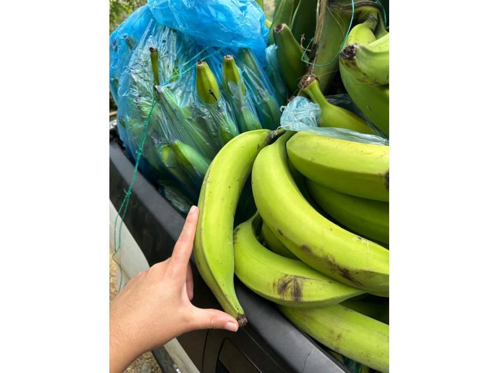LOTE EN VENTA EN LA CABAÑA MANIZALES | VENTA LOTE — foto 2