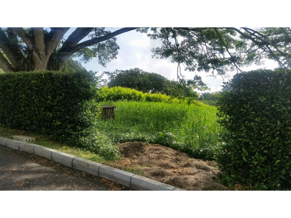 LOTE EN VENTA EN CONJUNTO CERRADO DE PALESTINA CALDAS | VENTA LOTE - 2