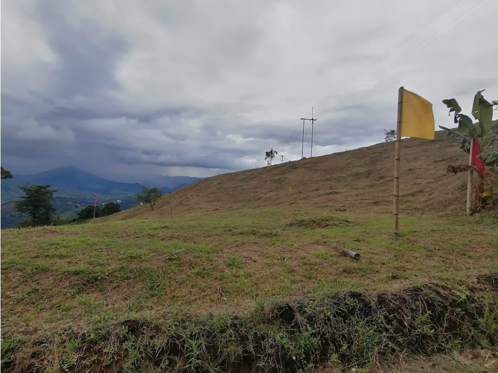 VENTA LOTE PALESTINA, CALDAS | LOTES EN VENTA - 2