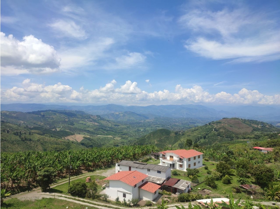 VENTA LOTE EN PALESTINA, CALDAS | LOTES EN VENTA - 2
