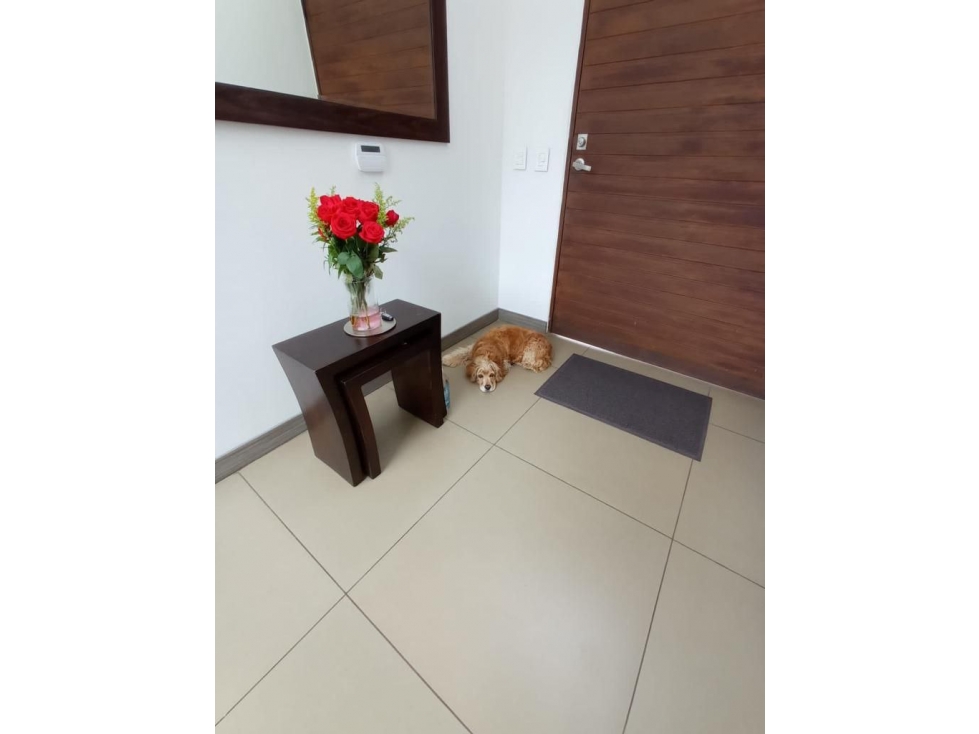VENTA CASA LA FLORIDA, VILLAMARÍA | CASA CAMPESTRE EN VENTA - 6