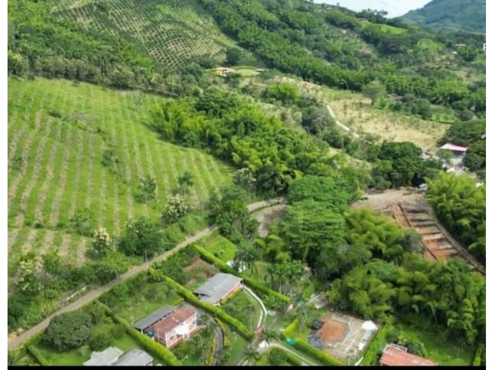 VENTA DE LOTE - LAS MARGARITAS MANIZALES | LOTES EN VENTA — foto 2
