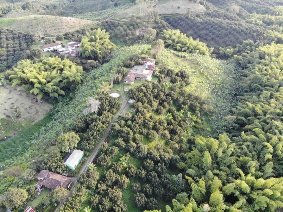 VENTA LOTE EN SANTÁGUEDA PALESTINA 2.500m² | LOTES BARATOS - 2