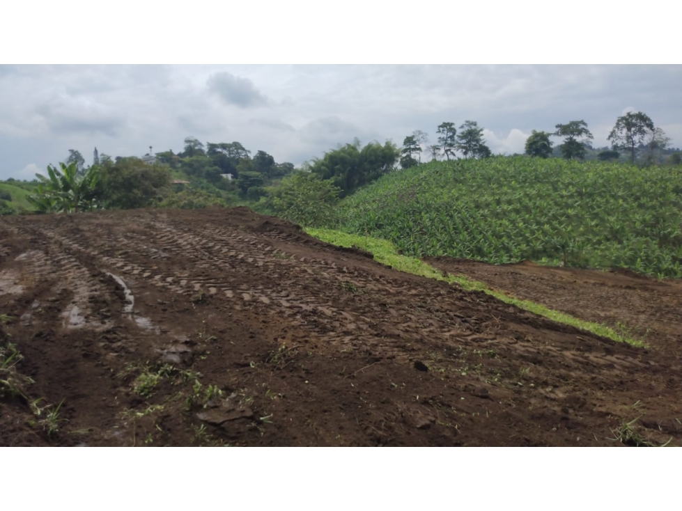 VENTA LOTE SANTÁGUEDA PALESTINA 2.500m² | LOTES EN VENTA - 2