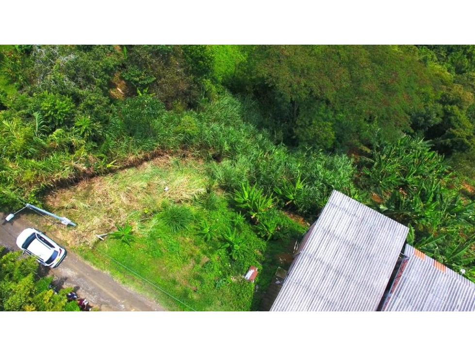 VENTA LOTE VEREDA TABOR SAN PEREGRINO MANIZALES | LOTES EN VENTA - 2