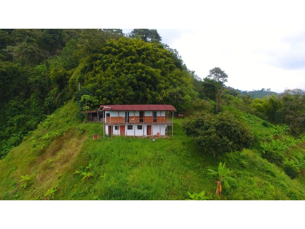 VENTA FINCA VEREDA TABOR SAN PEREGRINO | FINCA EN MANIZALES - 2