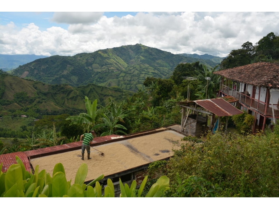 VENTA FINCA VEREDA EL DESCANSO NEIRA 108.800m² | FINCA EN VENTA - 2