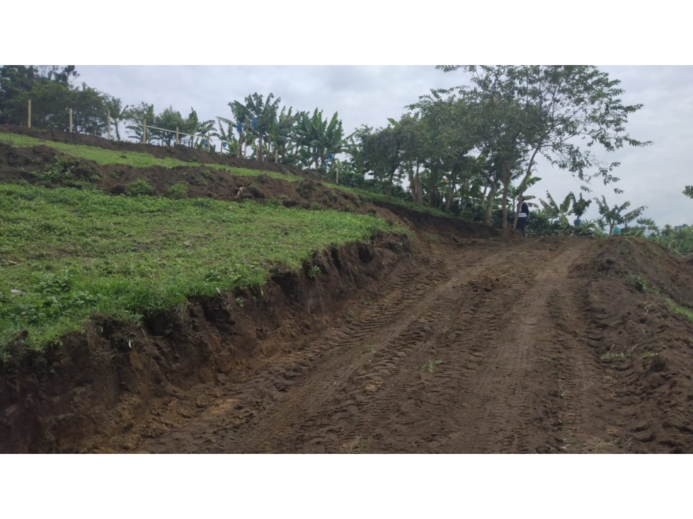 VENTA LOTE SANTÁGUEDA PALESTINA 2500m² | LOTE EN ZONA CAMPESTRE - 2
